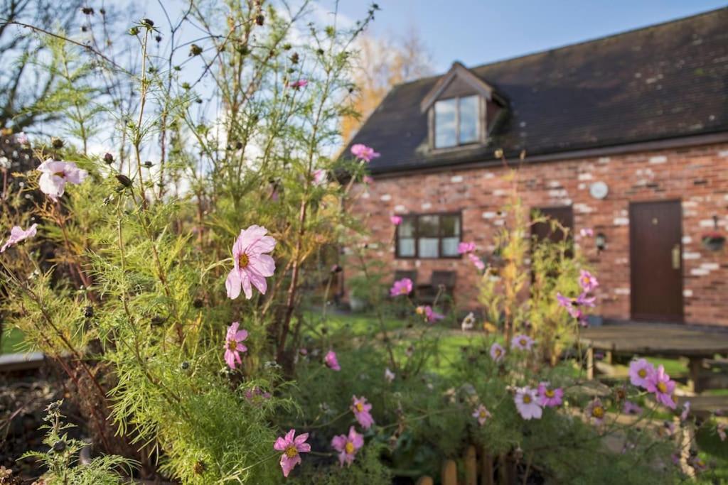 Holiday home Zoe's With Alpaca's And 7 Mins Drive To Alton Towers *