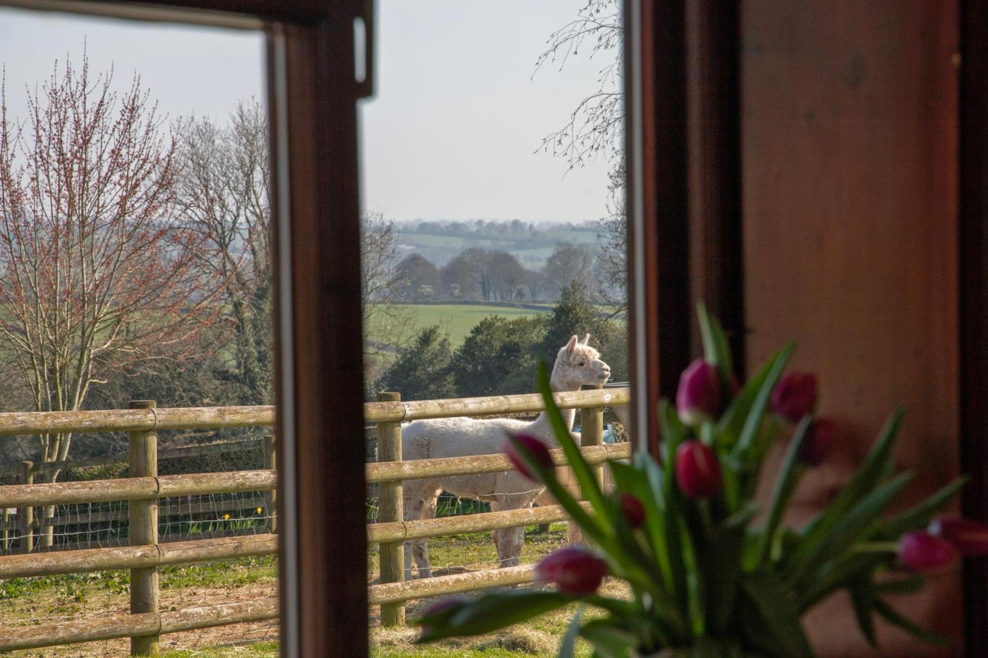 Vakantiehuis Zoe's With Alpaca's And 7 Mins Drive To Alton Towers *